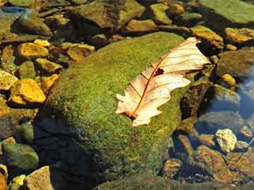 打胎药晚上怎么购买吃打胎药多少天来经（吃打胎药多久来姨妈）